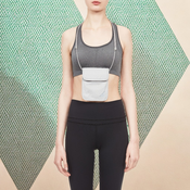 Neck passport holder Pacsafe Coversafe X75 - gray